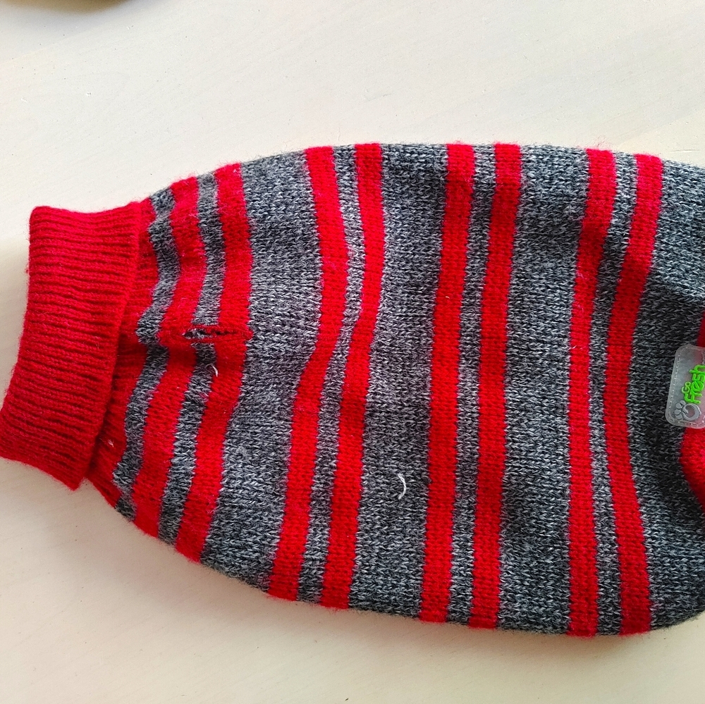 Dog clothes